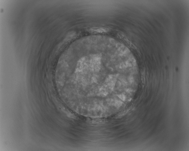 X0000081451393200702092238