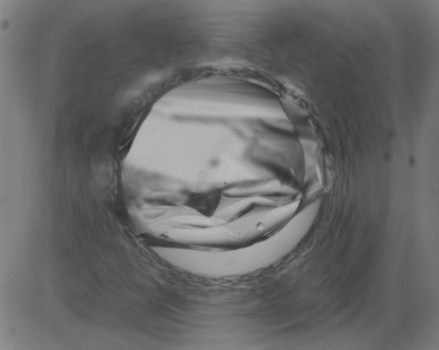 X0000081451398200702092238