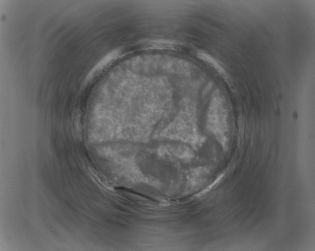 X0000081451403200702092238