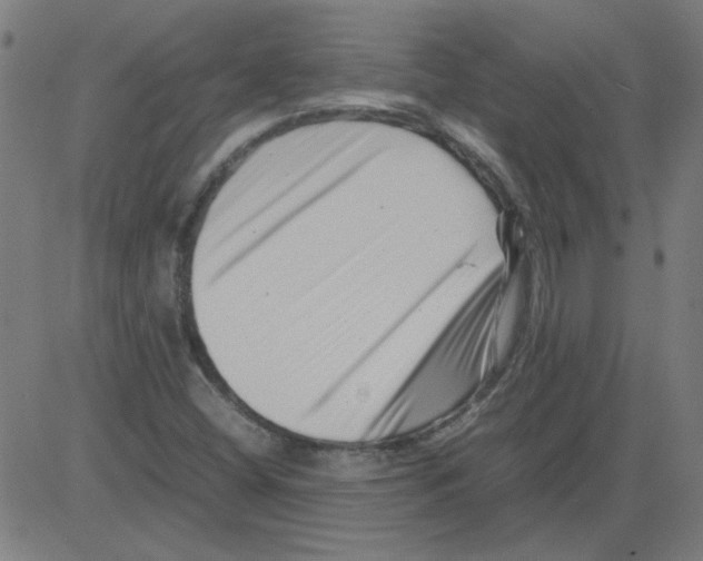X0000081451404200702092238