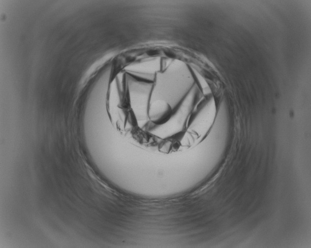 X0000081451406200702092238
