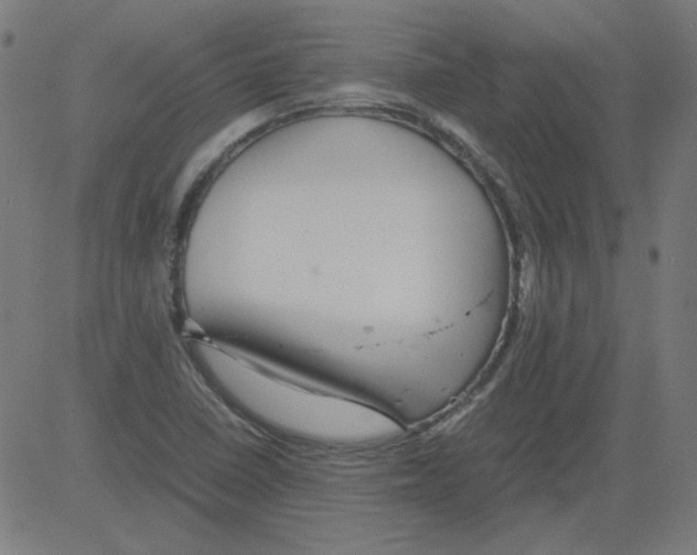 X0000081451410200702092238