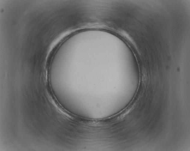 X0000081451414200702092238