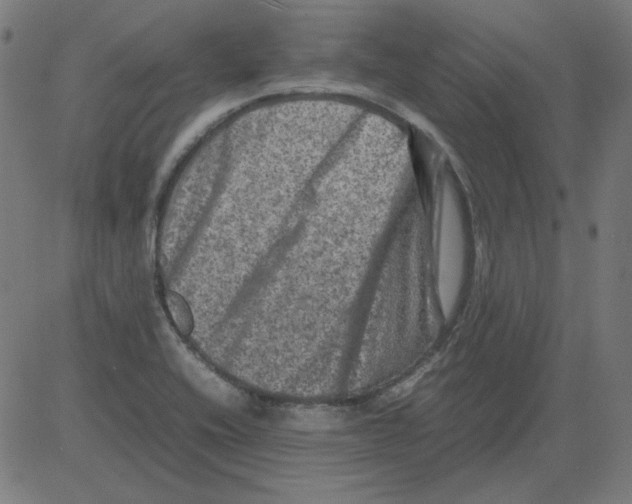 X0000081451416200702092238