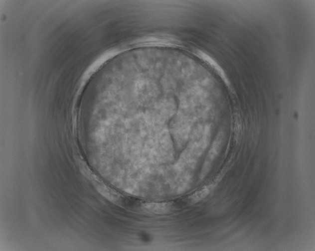 X0000081451419200702092238