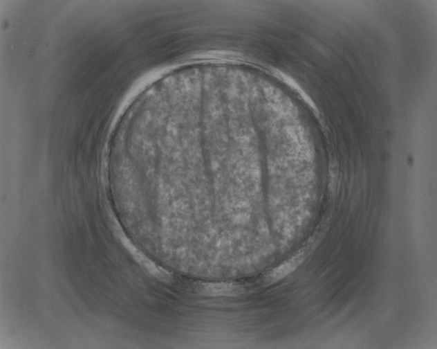X0000081451421200702092238