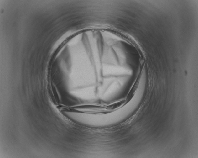 X0000081451422200702092238