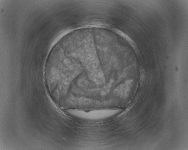 X0000081451423200702092238