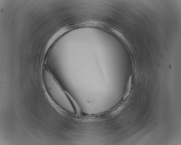 X0000081451426200702092238