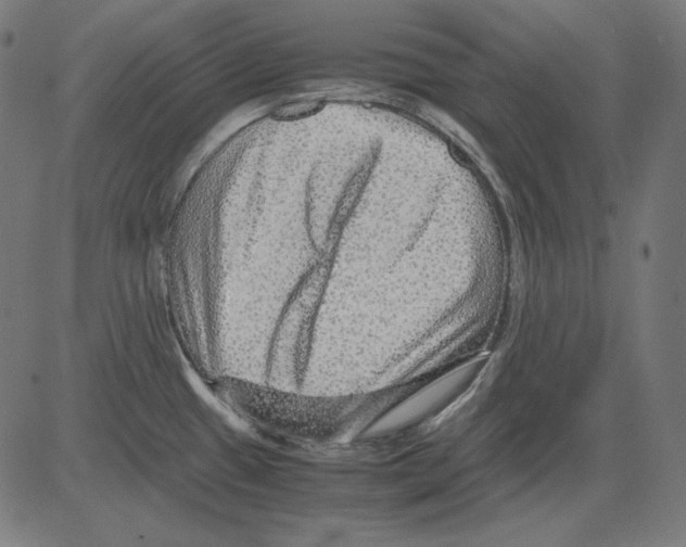 X0000081451433200702092238
