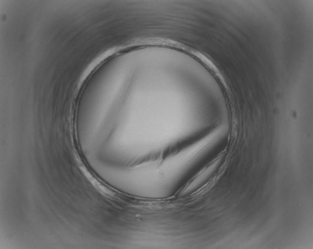 X0000081451438200702092239
