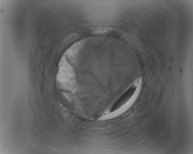X0000081451441200702092238
