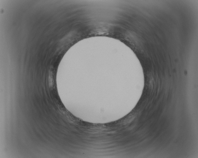 X0000081451442200702092238
