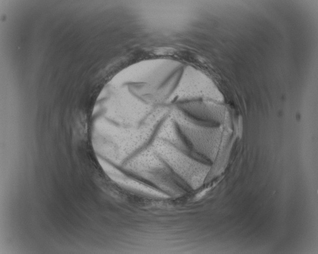 X0000081451443200702092238