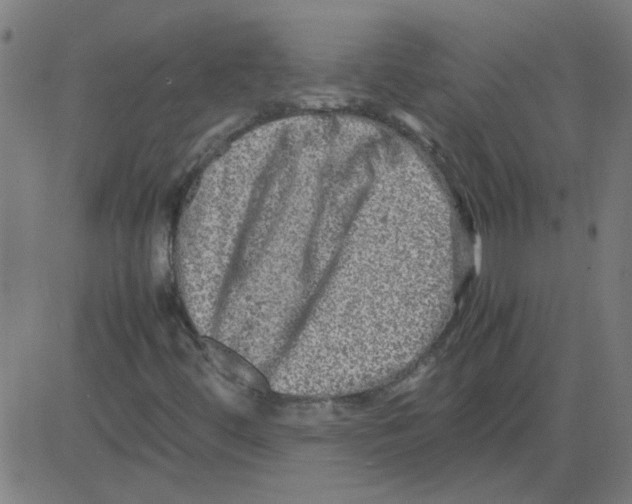 X0000081451444200702092238
