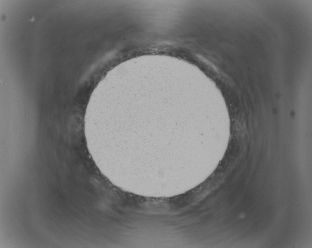 X0000081451447200702092238