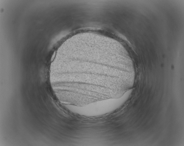 X0000081451448200702092238