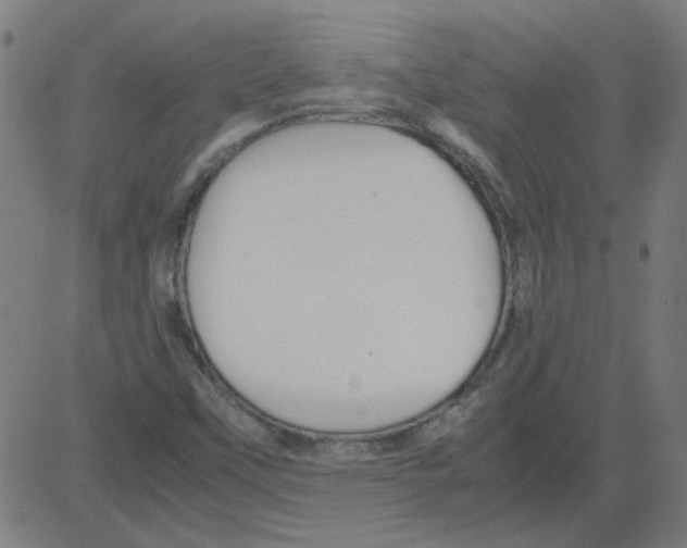 X0000081451451200702092238