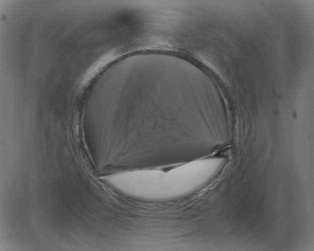 X0000081451455200702092238