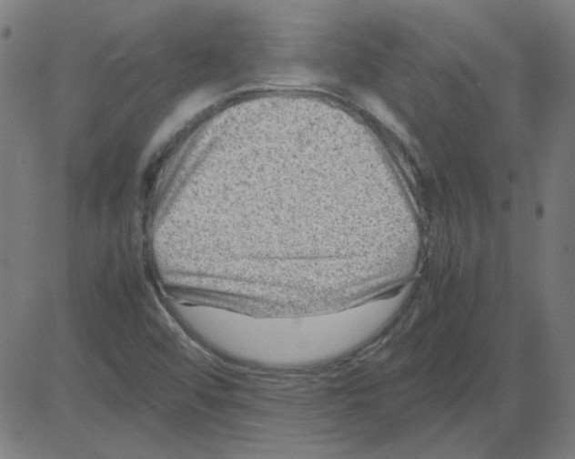 X0000081451456200702092238