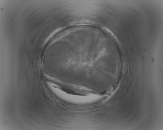 X0000081451457200702092238