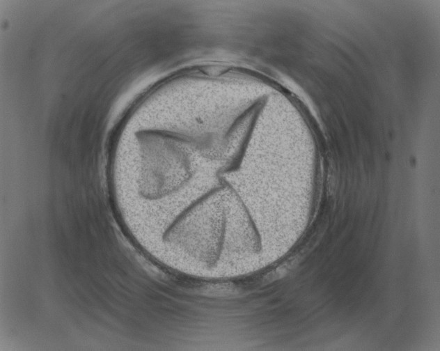 X0000081451464200702092237