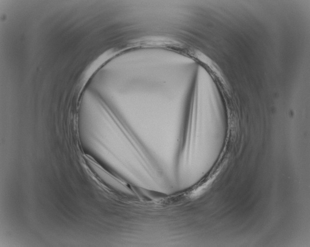 X0000081451473200702092237
