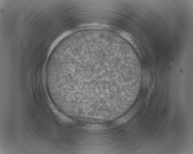 X0000081451474200702092237