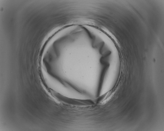 X0000081451477200702092237