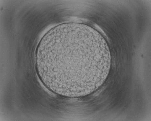 X0000081451479200702092237