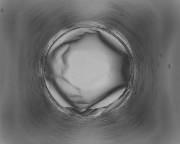 X0000081451481200702092237