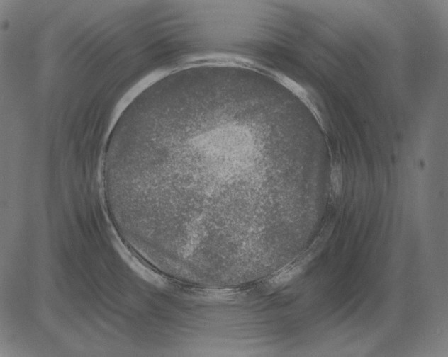 X0000081451482200702092237
