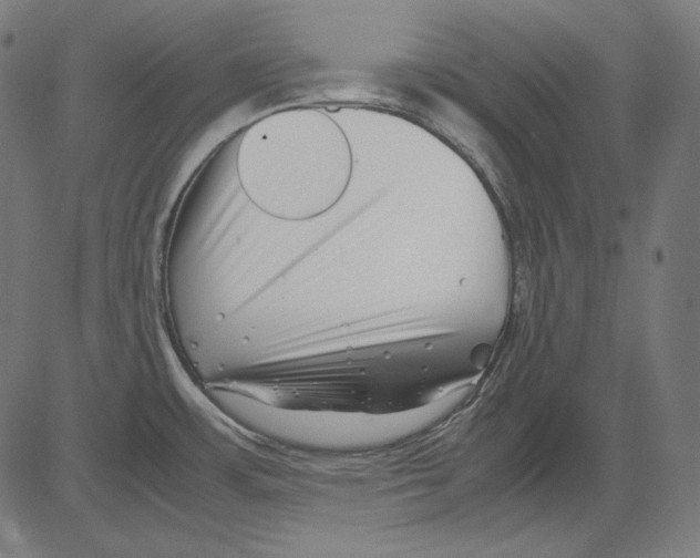 X0000081451483200702092237