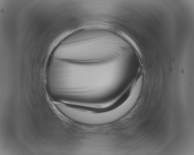 X0000081451485200702092237