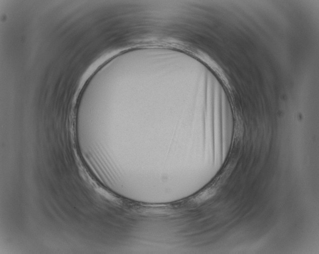 X0000081451486200702092237