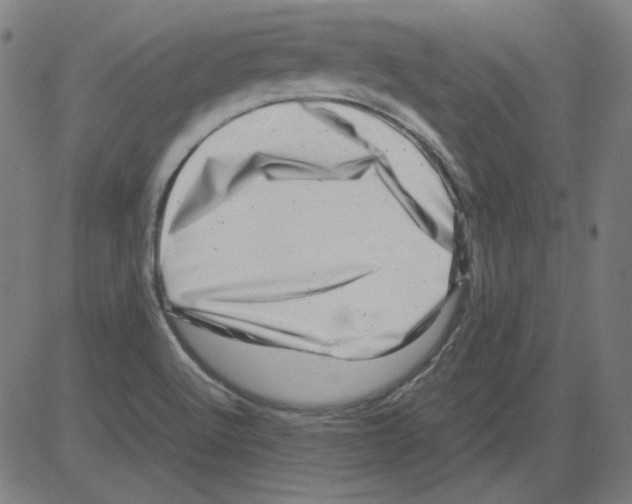 X0000081451512200702092237