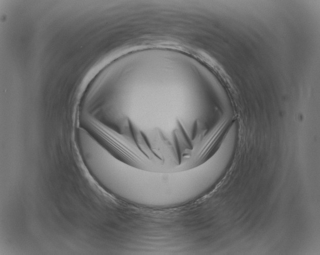 X0000081451520200702092237