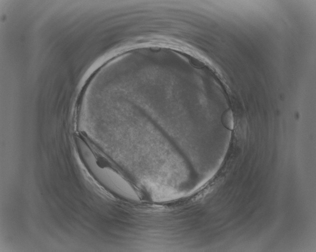 X0000081451522200702092237