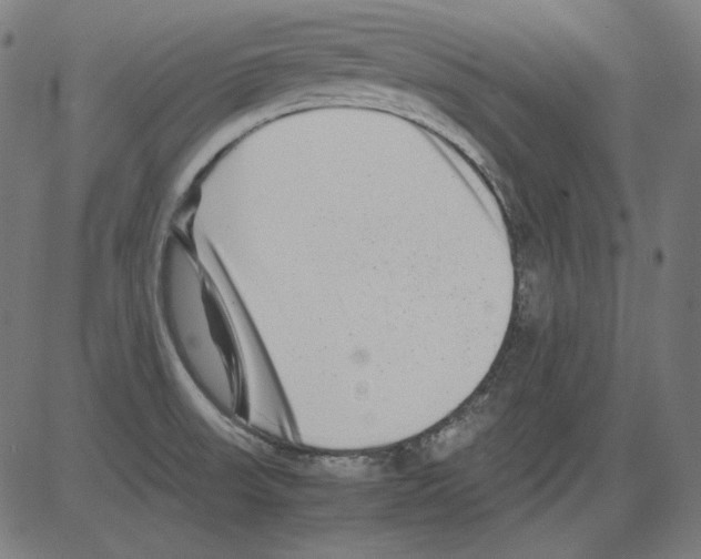 X0000081451523200702092237