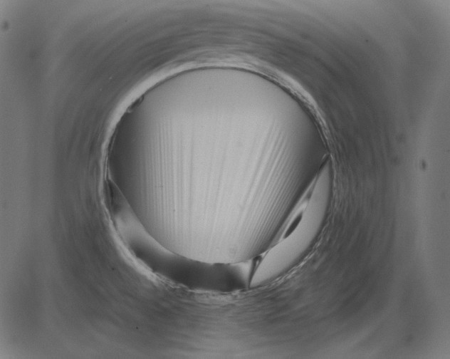 X0000081451528200702092237
