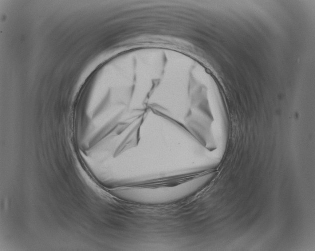 X0000081451531200702092237