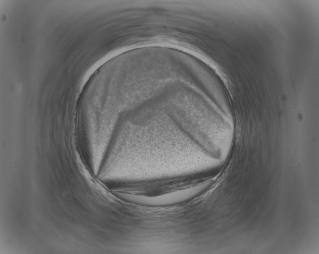 X0000081451534200702092237