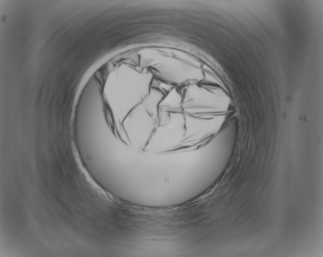 X0000081451536200702092237