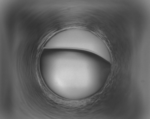 X0000081460001200701121054