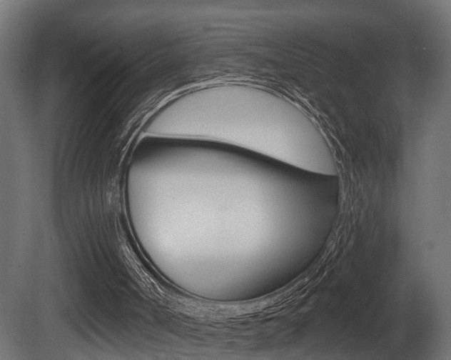 X0000081460002200701121054
