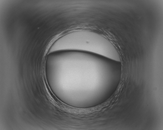 X0000081460003200701121054