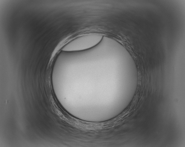 X0000081460004200701121054