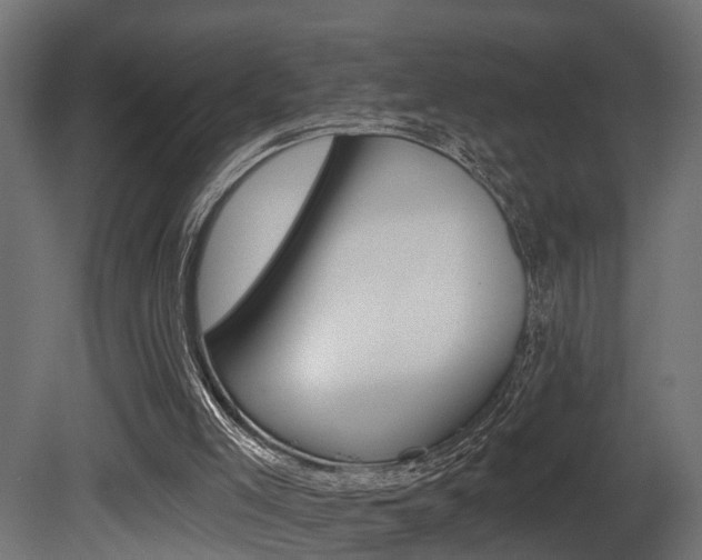 X0000081460005200701121054