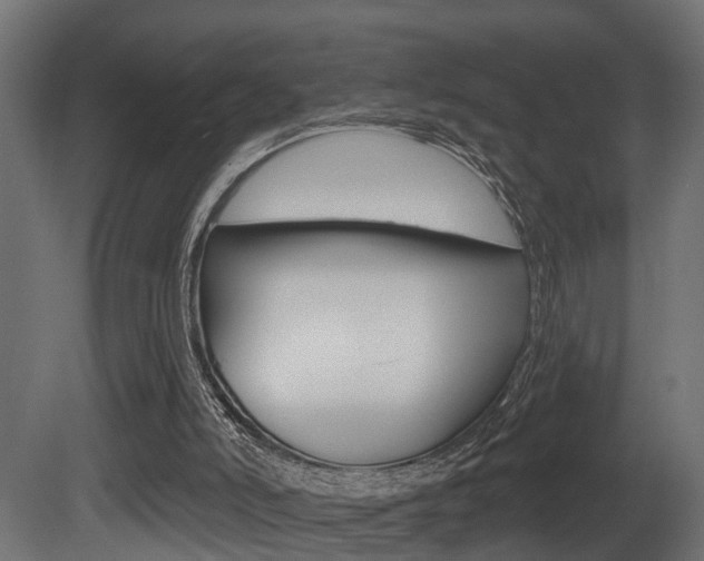 X0000081460006200701121054