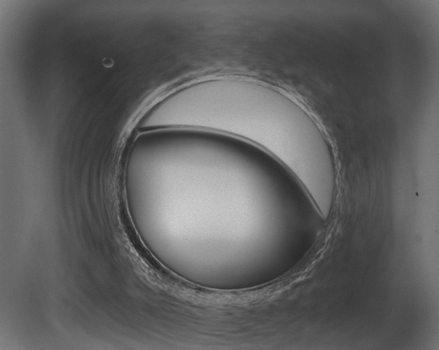 X0000081460007200701121054
